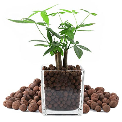Natural Leca Clay Pebbles, 17LBS 8mm-18mm Expanded Organic Balls Plants Grow Media Gardening Soil for Hydroponics, Drainage, Decoration, Aquaponics - size: 17LBS