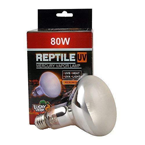 LUCKY HERP Reptile UVA UVB Mercury Vapor Bulb Lamp Bulb,Screw Thread,R95,E26,80 Watts (Frosted) - color: Frosted