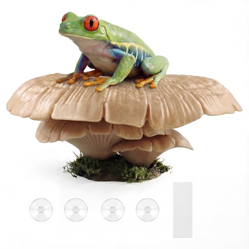 Mushroom Reptile Ledge| Tree Frog Terrarium Tank Accessories, Crested Gecko Tank Accessories, Frog Habitats, Fish Tank Decor| Terrarium Plants Decor from Daughter| 4 Suction Cups - color: Natural Beige+suction Cup
