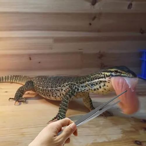 Reptile Sand Substrate Scoop Reptile Sand Fine Mesh Reptile Scooper Stainless Steel Terrarium Substrate Sand Bedding Litter Cleaner Scoop and Reptile Long Feeding Tongs Set (Green-2mm) - color: Green-2mm