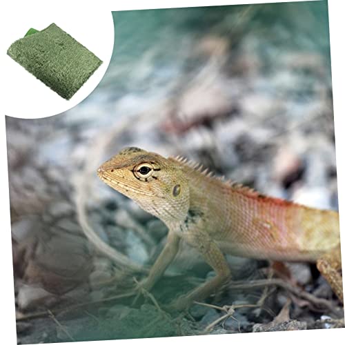 WEKAMOS 2pcs Reptile Chameleon Cage Accessories Reptile Carpet Terrarium Mats Moss Pad
