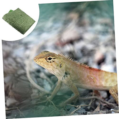 WEKAMOS 2pcs Reptile Chameleon Cage Accessories Reptile Carpet Terrarium Mats Moss Pad