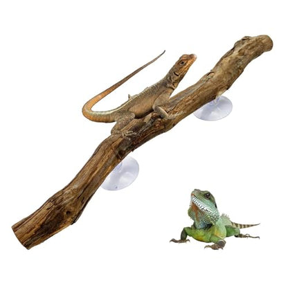 Reptile Climbing Stick – Flexible Snake Climbing Branch, Natural Tank Decor Vine | Terrarium Setup Branch Decoration, Habitat Enrichment for Tree Frogs, Lizards, Geckos, Chameleons, Iguanas