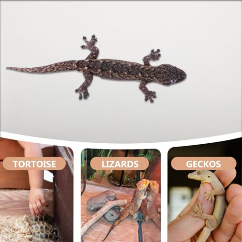 Reptile Carpet Mat Non-Slip EVA Terrarium Bedding for Snake Lizard Bearded Dragon Tank Accessories Washable Substrate Liner for Leopard Gecko and Turtle