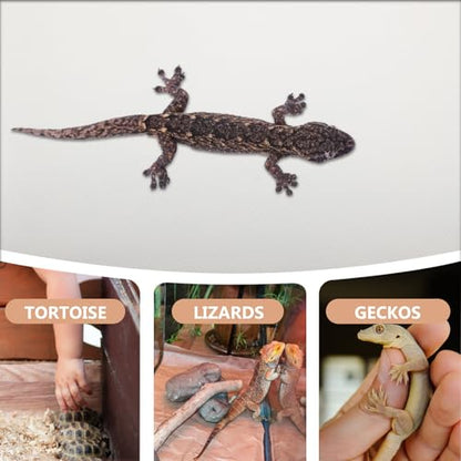 Reptile Carpet Mat Non-Slip EVA Terrarium Bedding for Snake Lizard Bearded Dragon Tank Accessories Washable Substrate Liner for Leopard Gecko and Turtle