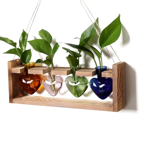 Plant Propagation Stations Heart Plant Terrarium Kit Gift for Women Plant Lover Glass Vases - color: Color02