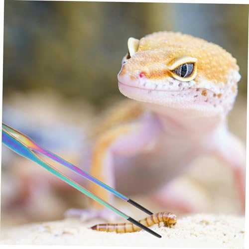 2pcs Aquarium Tweezers: Stainless Steel Straight And Curved Tweezers Set - Long Handle Reptile Feeding Tongs For Lizards Spider Snake