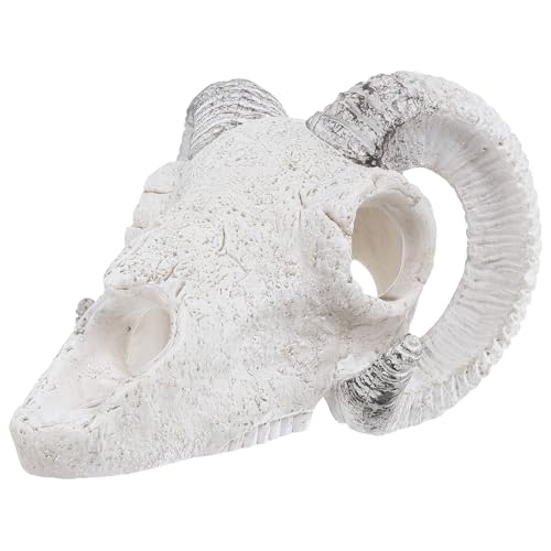 POPETPOP Reptile Skull Hideout Cave Resin Bull Skull Aquarium Decoration Large Fish Tank Habitat Hideout Terrarium Ornament for Snake Lizard Pets