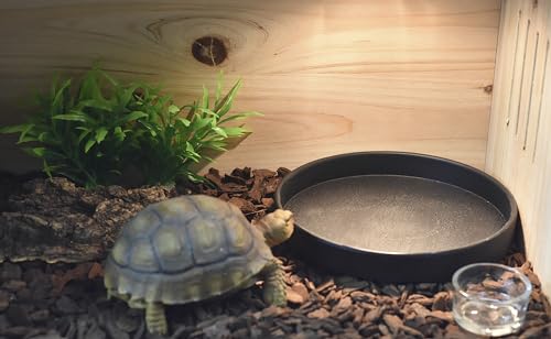 OMEM Reptile Food Bowl Water Dish,Feeding Dish, Birds Bowl (S, Black) - color: Black, size: S