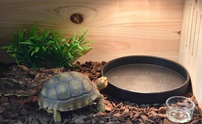 OMEM Reptile Food Bowl Water Dish,Feeding Dish, Birds Bowl (S, Black) - color: Black, size: S