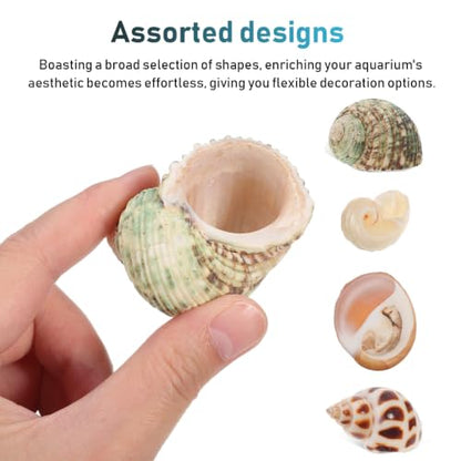SHINEOFI Coconut Shell Hideout with 8 Large Hermit Crab Seashells Natural Reptile Shelter Small Pet Hide Cave for Aquarium Turtle Rest Hut and Lizard Habitat Decor