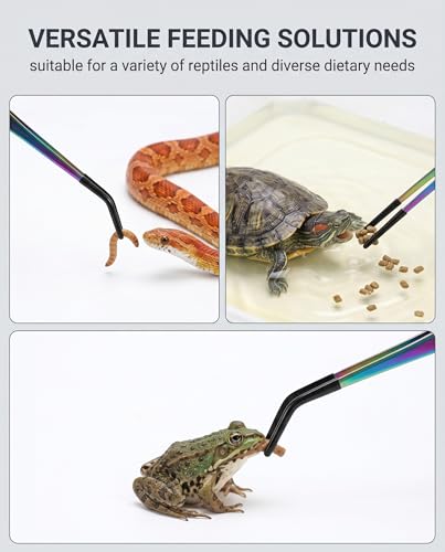 Rainbow Stainless Steel Rubber Tip Tongs for Reptile Feeding and Handling Long Handle Straight and Curved Tweezers for Bearded Dragon Small Exotic Pets