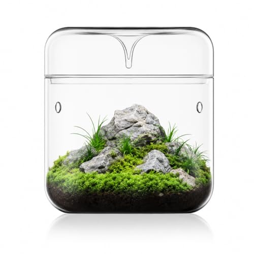 Bioloark MY-180 Glass Plant Terrarium, 7.1" x 7.9" Large Desktop Moss Terrarium with Dew-Collecting Lid, Ventilation Holes, High-Clarity Glass Jar for Ferns, Small Plants & Micro Landscape - color: MY-180(7.1"X7.9")