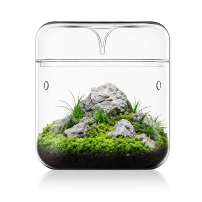 Bioloark MY-180 Glass Plant Terrarium, 7.1" x 7.9" Large Desktop Moss Terrarium with Dew-Collecting Lid, Ventilation Holes, High-Clarity Glass Jar for Ferns, Small Plants & Micro Landscape - color: MY-180(7.1"X7.9")