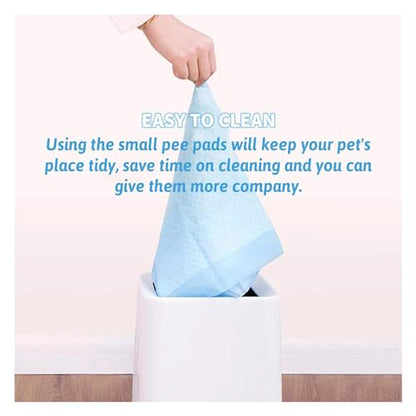 Hamiledyi Rabbit Pee Pads Disposable Cage Liners Leak-Proof Super Absorbent Pet Toilet/Potty Training Pad for Puppy Guinea Pigs Hedgehog Hamsters Chinchillas and Other Small Pets (20PCS ) - size: 20 PCS