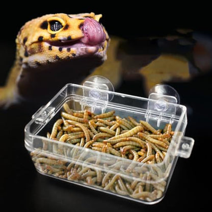 Balacoo 2pcs Reptile Feeding Bowl Anti-Escape Design with Suction Cups Reptile Food and Water Dish for Lizards and Amphibians Terrarium Supplies