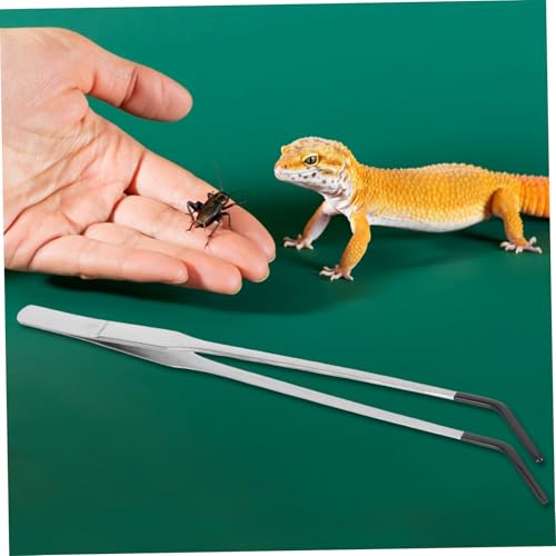 Homoyoyo 2pcs Reptile Tweezers Feeding Tongs Long Snake Feeding Tweezers Curved Heavy Duty Stainless Steel Feeding Tongs Snake Pet Supplies