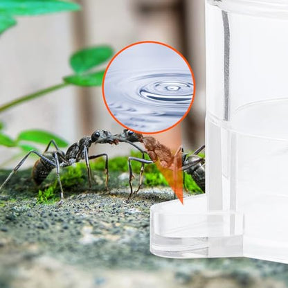 Ant Water Feeder Bowl with Separate Feeding Port Transparent Acrylic Mini Water Dish for Ants Nest Hydration and Nature Observation 1.53X1.29X1.18 Inch 2 Pack