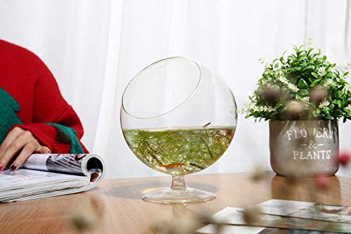 WGV Planter Terrarium with Stand, Ball Diameter 5" Height 6", Clear Glass Floral Container Vase, DIY Succulents Outdoor Garden Home Office Decor Slant Cut Orb, 1 Piece - size: 5"D