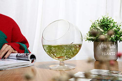 WGV Planter Terrarium with Stand, Ball Diameter 5" Height 6", Clear Glass Floral Container Vase, DIY Succulents Outdoor Garden Home Office Decor Slant Cut Orb, 1 Piece - size: 5"D