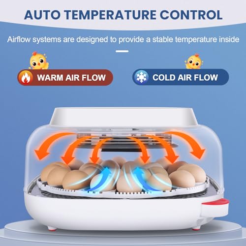 Sailnovo 24 Eggs Incubator for Chicken Eggs with 4 Modes, 360° View Incubator with Automatic Egg Turning and Temperature Control Humidity Display, Digital Incubator for Chicken Quail Duck(Sky Blue)