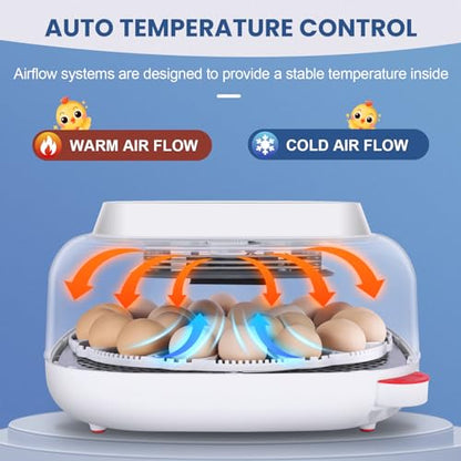 Sailnovo 24 Eggs Incubator for Chicken Eggs with 4 Modes, 360° View Incubator with Automatic Egg Turning and Temperature Control Humidity Display, Digital Incubator for Chicken Quail Duck(Sky Blue)
