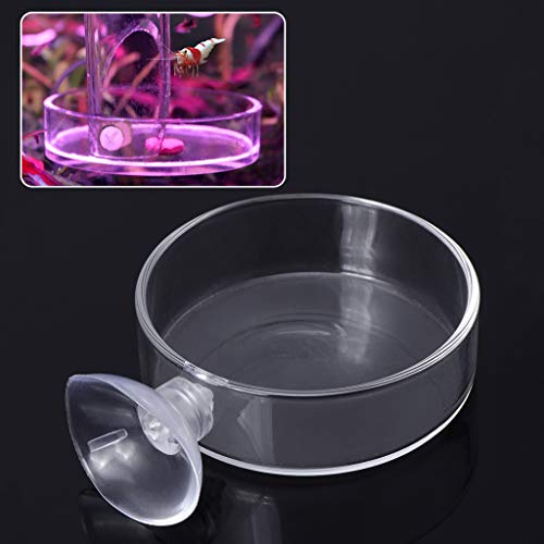 Shrimp Feeder Glass Feeding Dish Aquarium Fish for Reptiles Food Bowl with Suction Cups 2.4x0.7 Inch