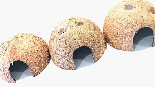 Durable 3 pc Coconut Hide, Natural Home for Guppies, Tetras, Betta Fish, Shrimp, Pleco, Perfect for Your Aquarium, Perfect Hideout for Spiders, Toad, Lizard and Small Crabs, 3 Half Shells (Small)