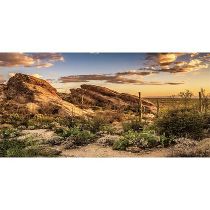 AWERT Reptile Habitat Background Blue Sky Oasis Cactus Sun and Desert Terrarium Background 48x24 inches Durable Polyester Background - size: 48x24 inches