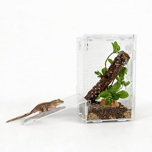 5x5x8 Reptile Tank – Acrylic Reptile Enclosure Terrarium for Crested Gecko, Lizards, Spiders & Snakes – Clear Lizard Habitat Terrarium - size: 5"5"8"