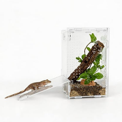 5x5x8 Reptile Tank – Acrylic Reptile Enclosure Terrarium for Crested Gecko, Lizards, Spiders & Snakes – Clear Lizard Habitat Terrarium - size: 5"5"8"