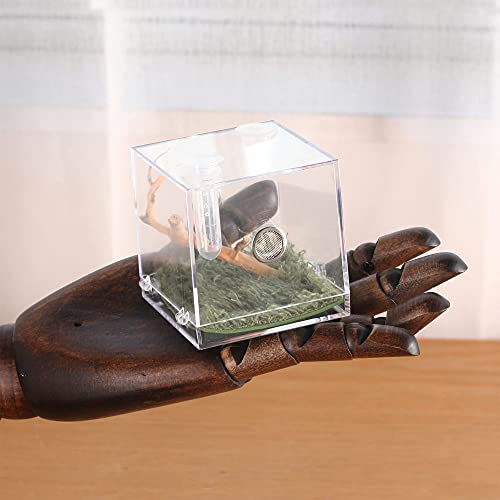 Jumping Spider Micro Big Habitat, Small Pet Insect Breeding Box, 360 Degree High Transparent Reptile Cage, Acrylic Case Mini Carrier for Amphibians, Feeding Container Enclosure Accessories - size: 2.6x2.6x2.7inches