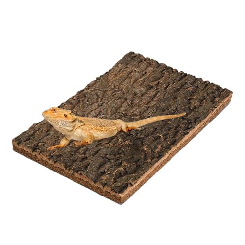 Cork Bark Background, 40x30 cm Reptile Hiding Bark Cork Terrarium Background Climbing Platforms for Beared Dragon Lizard Geckos Spider