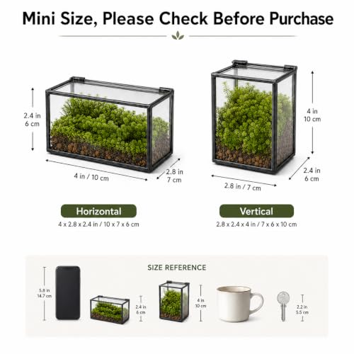 Mini Glass Terrarium Set of 2 with Lid, Tiny Rectangle Glass Succulent Terrarium Containers for Air Plants, Moss & Fairy Garden, Black Framed Tabletop Plant Holder, 4 x 2.8 x 2.4 & 2.8 x 2.4 x 4 in - color: Black