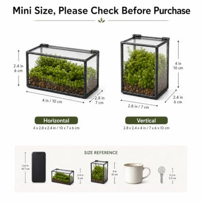 Mini Glass Terrarium Set of 2 with Lid, Tiny Rectangle Glass Succulent Terrarium Containers for Air Plants, Moss & Fairy Garden, Black Framed Tabletop Plant Holder, 4 x 2.8 x 2.4 & 2.8 x 2.4 x 4 in - color: Black