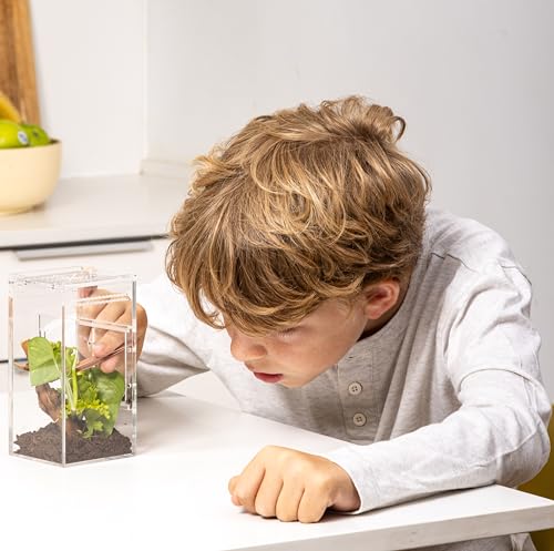 EctoTherm Jumping Spider Enclosure - Complete Acrylic Terrarium Habitat for Spiders, Tarantulas, Praying Mantis - Small Spider House with Front Opening Door - Bug Enclosure for Arboreal Species - size: Small