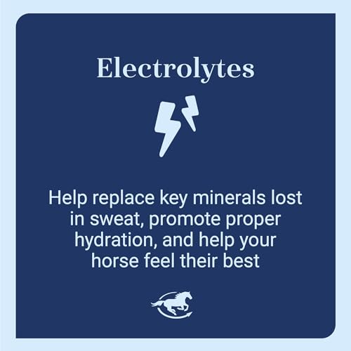 SmartEquine SmartLytes, 3.7 lb, 56 Servings | Horse Electrolyte Powder Supplement | Encourages Hydration, Replenishes Electrolytes | No Added Sugar | Cherry Flavor