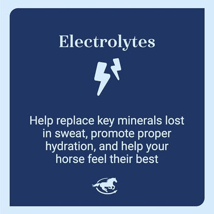 SmartEquine SmartLytes, 3.7 lb, 56 Servings | Horse Electrolyte Powder Supplement | Encourages Hydration, Replenishes Electrolytes | No Added Sugar | Cherry Flavor