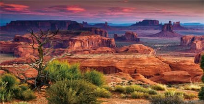 60X24IN Desert Loess Rock Cactus Oasis Reptile Habitat Background, Natural Sunset Desert Themed Terrarium Background, Aquarium Background with 10 EVA Double-Sided Tape - size: 60X24in/150X60cm