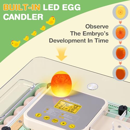 Sailnovo 48 Egg Incubator for Hatching Eggs with Auto Egg Turning, Precise Temp & Humidity Control, 360°Viewing, Egg Candler, Incubator for Chicken Eggs/Duck/Quail,Ideal for Farm/School/Lab,Green