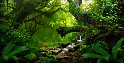 48X20IN Tropical Forest Green Huge Tree Reptile Habitat Aquarium Background, Green Natural Landscape Rainforest Fish Tank Decorations Background, Nature Art Terrarium Background - size: 48X20in/120X50cm