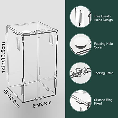 BETAZOOER Acrylic Mini Reptile Tank Habitat Transparent Terrariums with Locking Latch Suitable for Tarantula Isopod Roach Invertebrates (8''x6''x14'') - size: Large