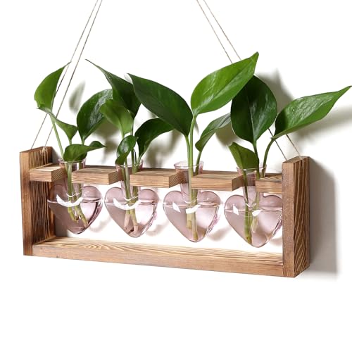 Heart Plant Terrarium Kit Gift for Women Plant Lover Glass Vases - color: Pink