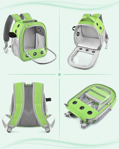 DBNESS Guinea Pig Carrier Backpack,Portable Travel Small Pet Carrier with Water Bottle Holder & Detachable Pad for Rabbits Hamsters Chinchillas Bearded Dragons Geckos Parrots (Green)