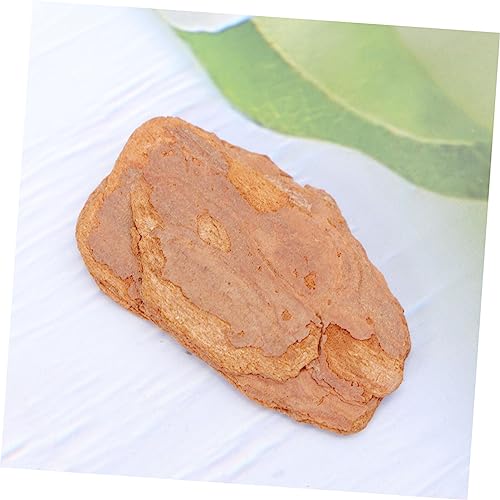 VANZACK 1pack Natural Pine Bark Cushion for Reptile Box Turtle and Lizard Habitat Decor for Snails Chameleons and Geckos Material