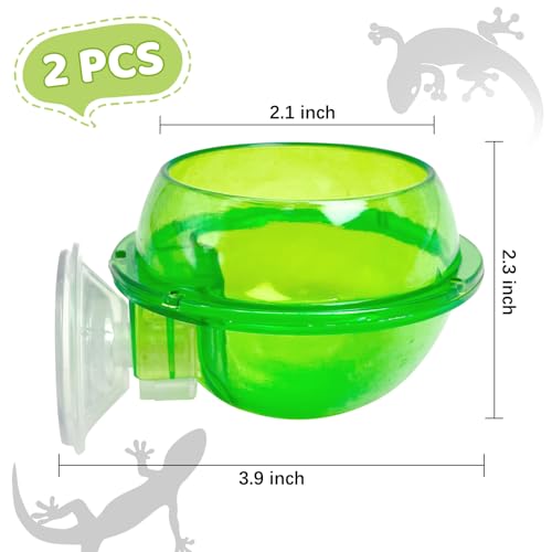2 Pcs Chameleon Bowl (2.1" D*2.3" H) &3 Pack Bearded Dragon Hammock (11" L*8" W)