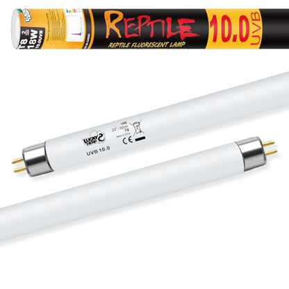 LUCKY HERP T8 18W UVB 10.0 Reptile Light, UVA UVB Reptile Light Bulb 2 Pack, Fluorescent Lamp for Reptiles Amphibians Lizards Chameleons - size: 24inch 10.0