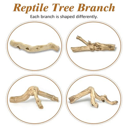 Reptile Cork Bark with Reptile Climbing Decor Thick Wood Branches Snake Habitat Decorations Terrarium Wooden Tree Trunk Ornament