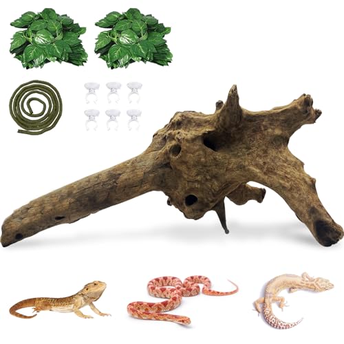 Hamiledyi Large Driftwood for Reptile Tank 11-16" Natural Bearded Dragon Wood Snake Climbing Branch Decor Assorted Driftwood Terrarium Accessories for Ball Python Gecko Lizard Chameleon Iguana