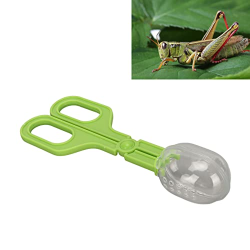 Reptile Feeding Clamp Poop Tongs Reptile Feeding Tool Reptile Poop Scoop with Vents for Tortoise Lizard Spider (Green) hamster poop scoop